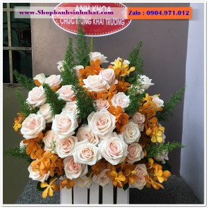 Hoa Tươi Tặng Khai Trương - OK15